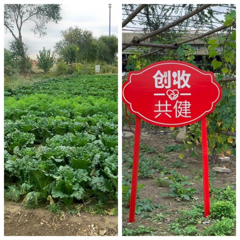 天津红丝带爱之家Food for Health项目--用爱与健康食品点亮患者生活